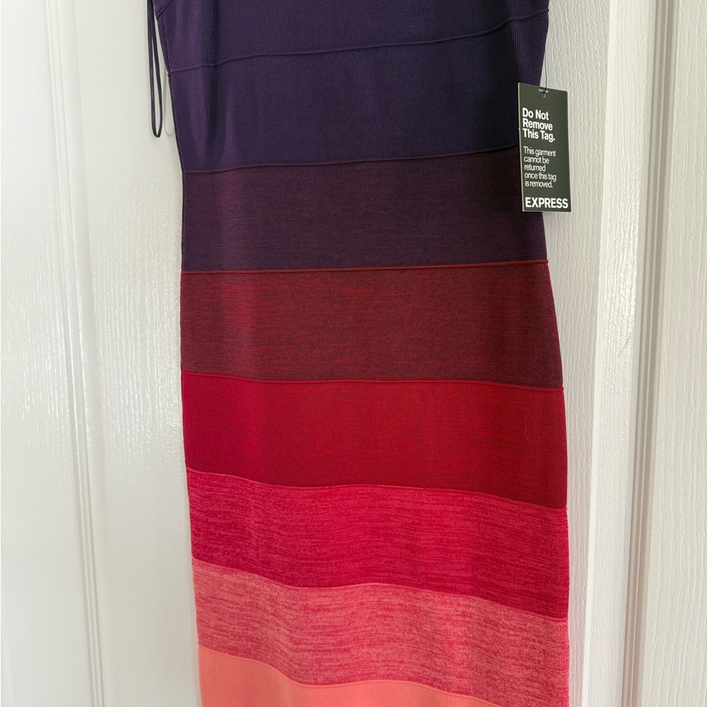 Express Women's Multicolor Striped Dress